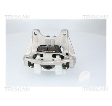 Brzdový třmen TRISCAN 8175 82203