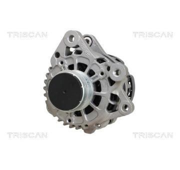 generátor TRISCAN 8310 43047