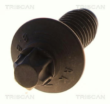 Upevnovaci cepy, pricne zavesne rameno TRISCAN 8501 0513