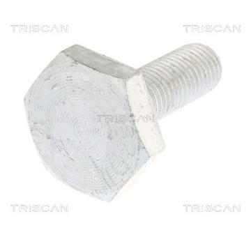 Upevnovaci cepy, pricne zavesne rameno TRISCAN 8501 0520