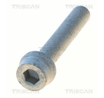 Upevnovaci cepy, pricne zavesne rameno TRISCAN 8501 0525