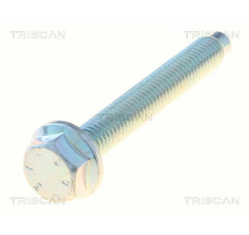 Upevnovaci cepy, pricne zavesne rameno TRISCAN 8501 0543