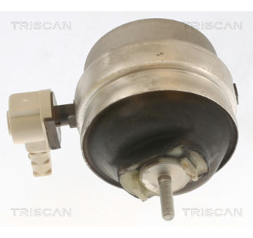 Zavěšení motoru TRISCAN 8505 29111