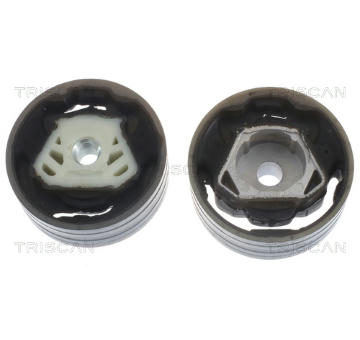 Zavěšení motoru TRISCAN 8505 29137