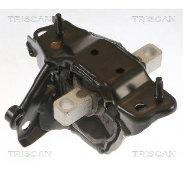 Zavěšení motoru TRISCAN 8505 29139