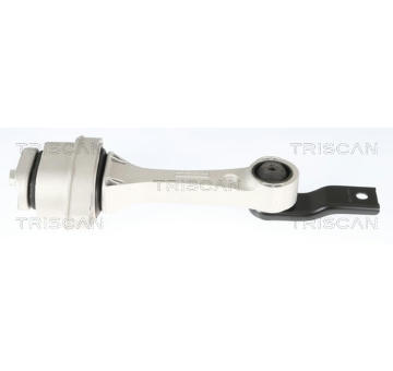 Zavěšení motoru TRISCAN 8505 29172