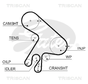 Ozubený řemen TRISCAN 8645 5562XS