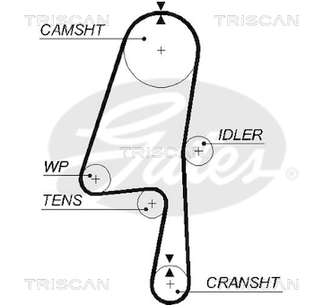 Ozubený řemen TRISCAN 8645 5580XS