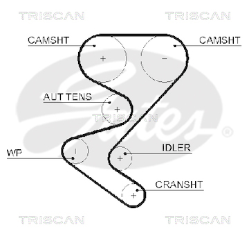 Ozubený řemen TRISCAN 8645 5608XS