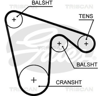 Ozubený řemen TRISCAN 8645 5619XS