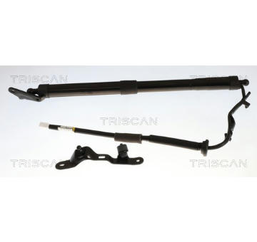 Pneumatická pružina, zavazadlový / nákladový prostor TRISCAN 8710 13306