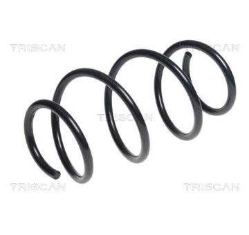 Pružina podvozku TRISCAN 8750 11194