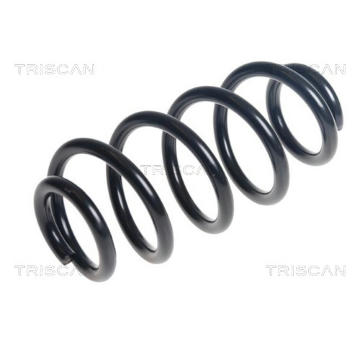 Pružina podvozku TRISCAN 8750 11269