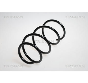 Pružina podvozku TRISCAN 8750 13110