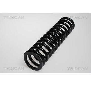 Pružina podvozku TRISCAN 8750 2308