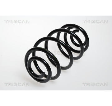 Pružina podvozku TRISCAN 8750 24042