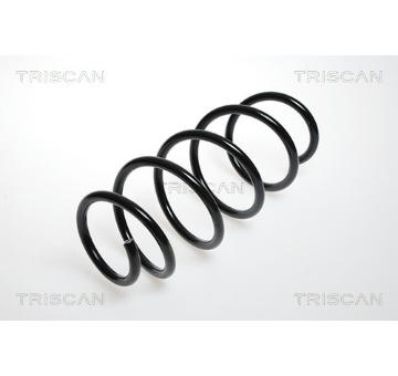 Pružina podvozku TRISCAN 8750 24070