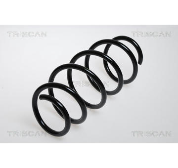 Pružina podvozku TRISCAN 8750 24076