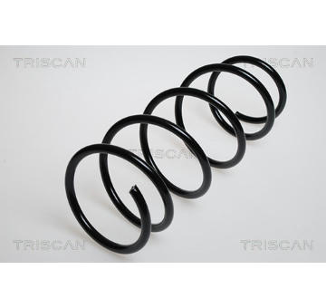 Pružina podvozku TRISCAN 8750 2521