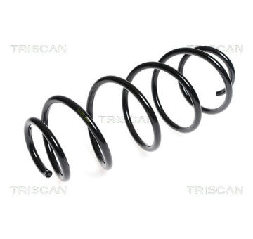 Pružina podvozku TRISCAN 8750 28139