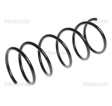 Pružina podvozku TRISCAN 8750 28175