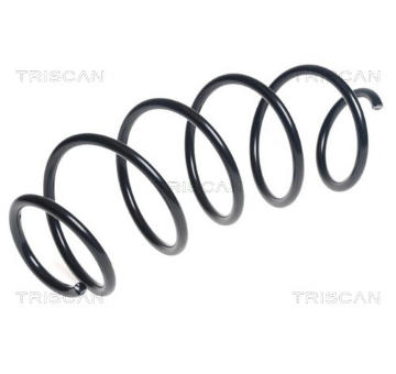 Pružina podvozku TRISCAN 8750 28255