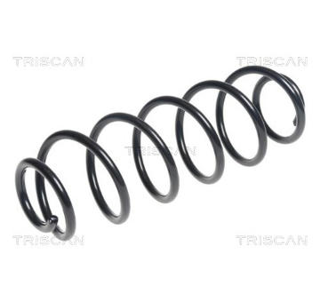 Pružina podvozku TRISCAN 8750 28261