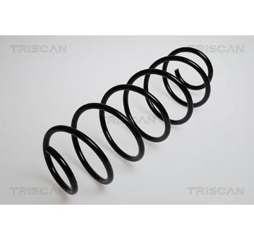 Pružina podvozku TRISCAN 8750 2864