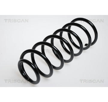 Pružina podvozku TRISCAN 8750 2929