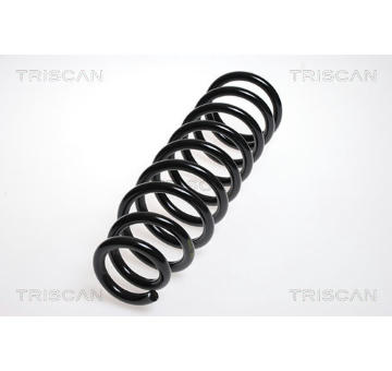 Pružina podvozku TRISCAN 8750 5065