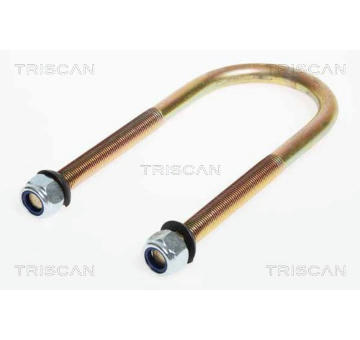 Drzak pruziny TRISCAN 8765 100006