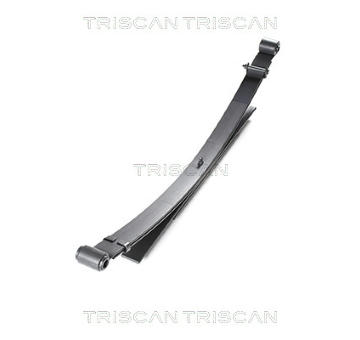 Paket pružin TRISCAN 8765 14011