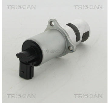 AGR-Ventil TRISCAN 8813 10100