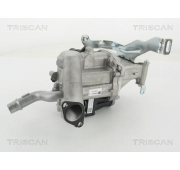 AGR-Ventil TRISCAN 8813 10103