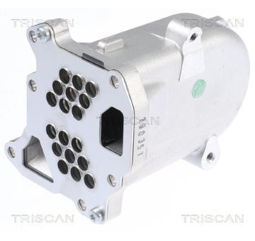 Chladič, recirkulace spalin TRISCAN 8813 10104