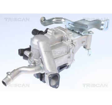 AGR-Ventil TRISCAN 8813 10106