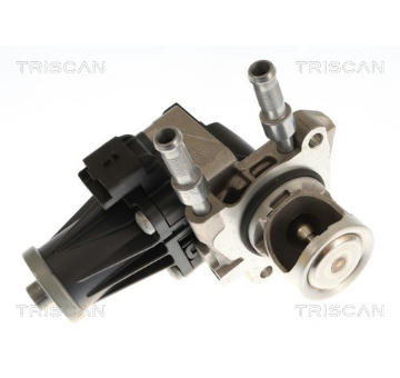 AGR-Ventil TRISCAN 8813 10119