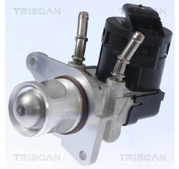 AGR-Ventil TRISCAN 8813 11001