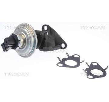 AGR-Ventil TRISCAN 8813 11010