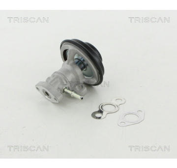 AGR-Ventil TRISCAN 8813 13030