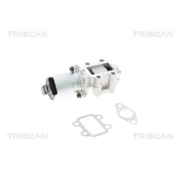 AGR-Ventil TRISCAN 8813 13101