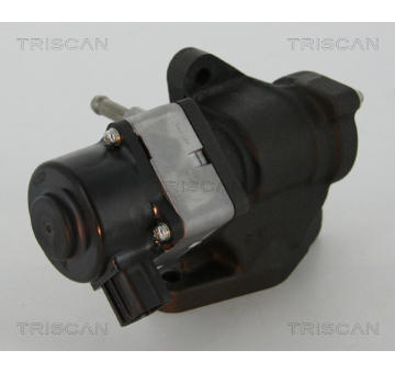 AGR-Ventil TRISCAN 8813 14005