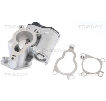 AGR-Ventil TRISCAN 8813 14025