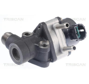 AGR-Ventil TRISCAN 8813 14026
