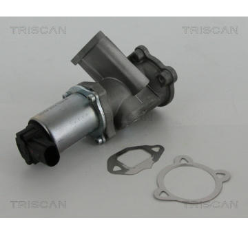 AGR-Ventil TRISCAN 8813 15069