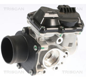 AGR-Ventil TRISCAN 8813 16002