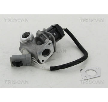 AGR-Ventil TRISCAN 8813 16008