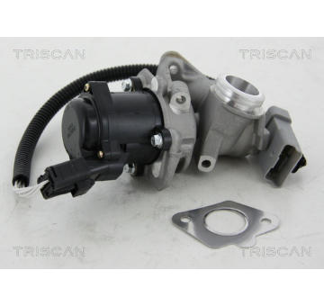 AGR-Ventil TRISCAN 8813 16034