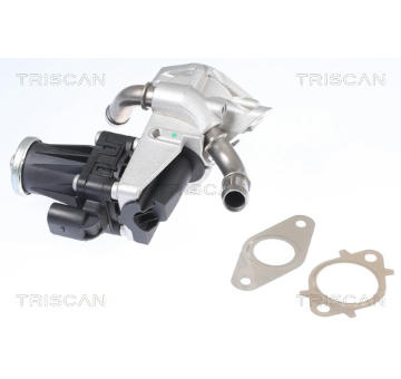 AGR-Ventil TRISCAN 8813 16150