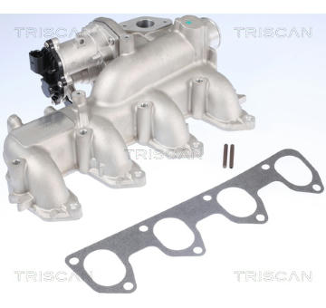 AGR-Ventil TRISCAN 8813 16160